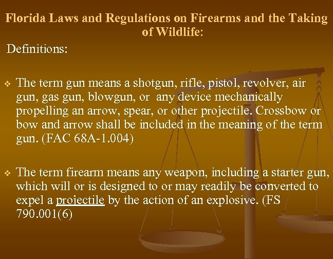 Florida Laws and Regulations on Firearms and the Taking of Wildlife: Definitions: v The