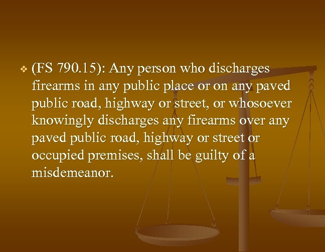 v (FS 790. 15): Any person who discharges firearms in any public place or