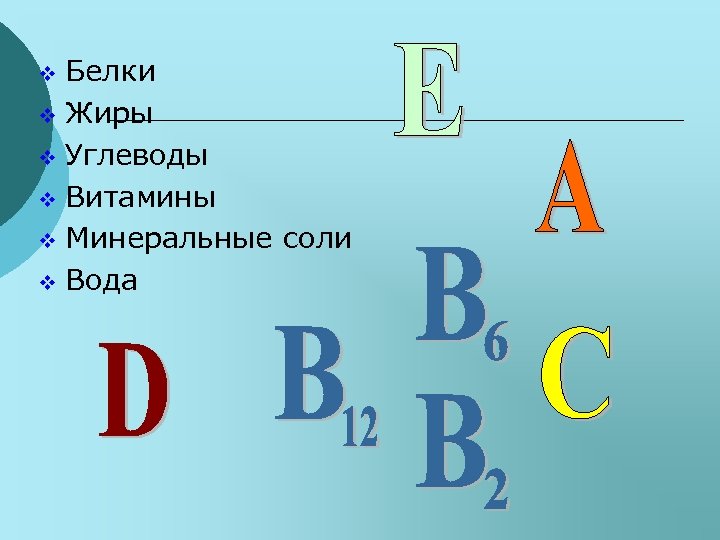 Белки v Жиры v Углеводы v Витамины v Минеральные соли v Вода v 