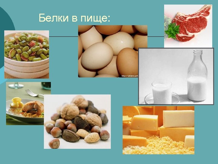 Белки в пище: 