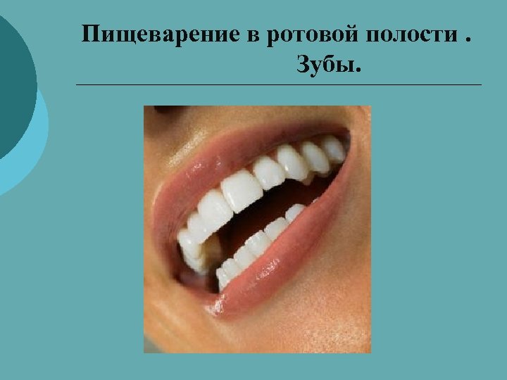 Ротовая полость зубы человека