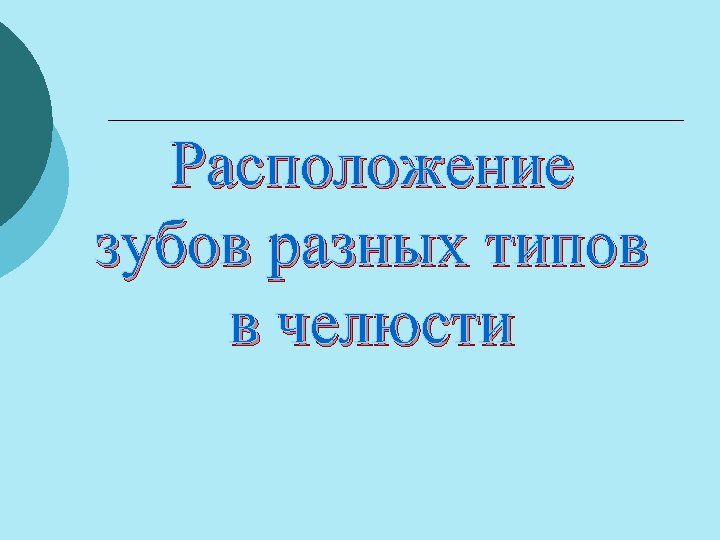 Расположение зубов разных типов в челюсти 