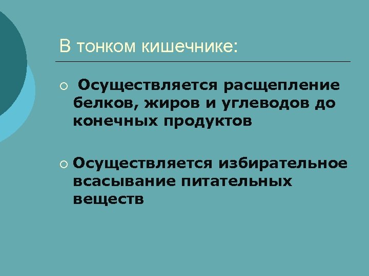 В тонком кишечнике: ¡ ¡ Осуществляется расщепление белков, жиров и углеводов до конечных продуктов
