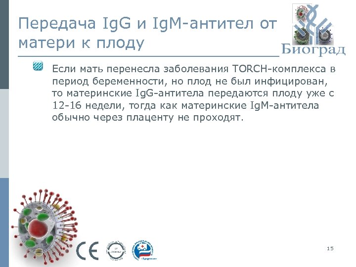 Передача Ig. G и Ig. M-антител от матери к плоду Если мать перенесла заболевания