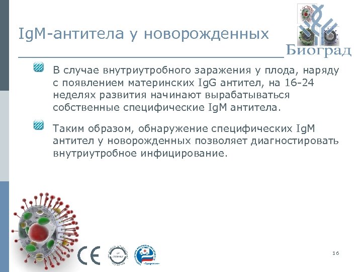 Ig. M-антитела у новорожденных В случае внутриутробного заражения у плода, наряду с появлением материнских