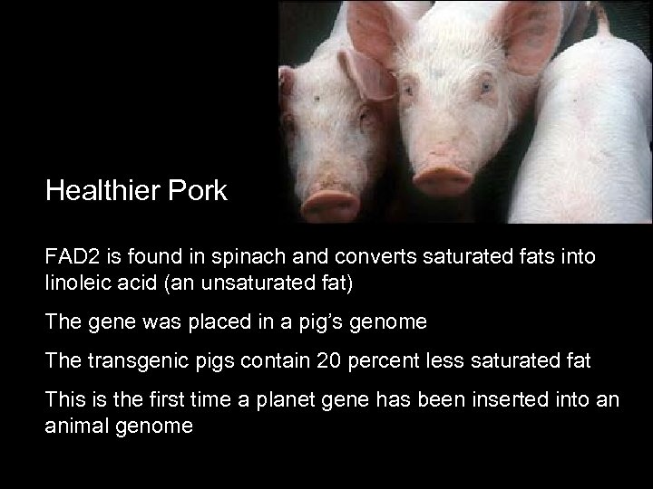 Healthier Pork FAD 2 is found in spinach and converts saturated fats into linoleic