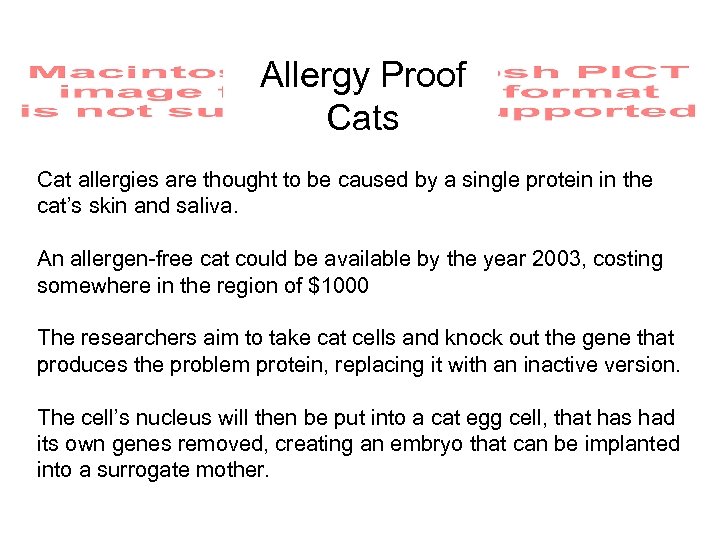 Allergy Proof Cats Cat allergies are thought to be caused by a single protein