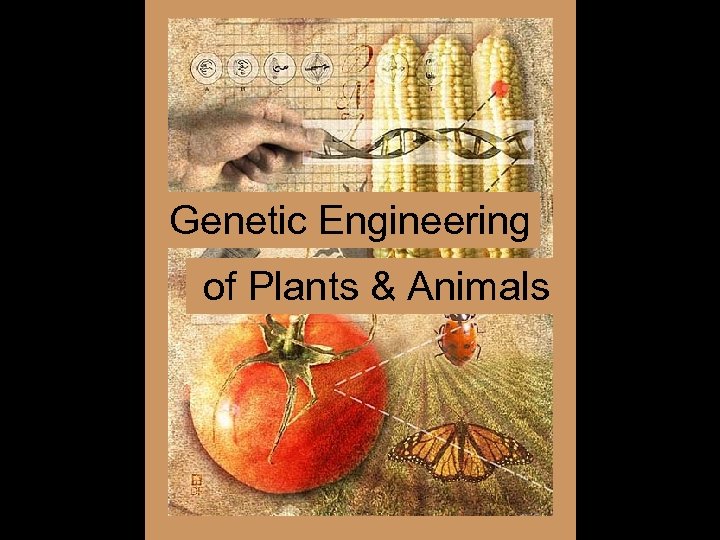 Genetic Engineering of Plants & Animals 