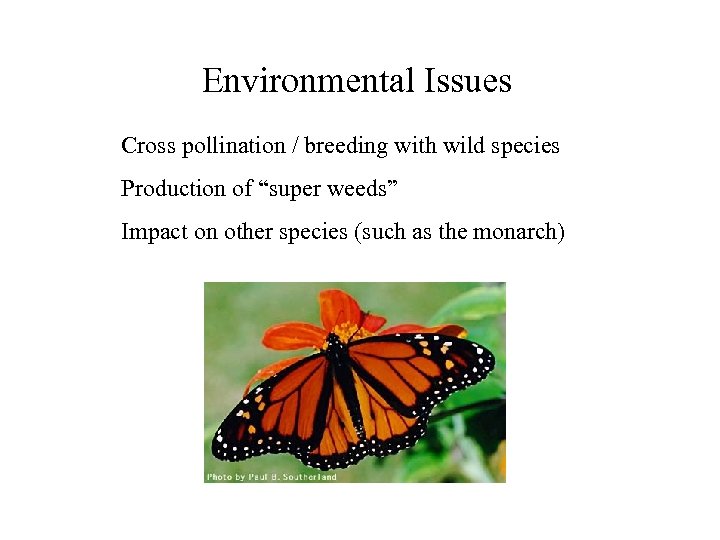 Environmental Issues Cross pollination / breeding with wild species Production of “super weeds” Impact