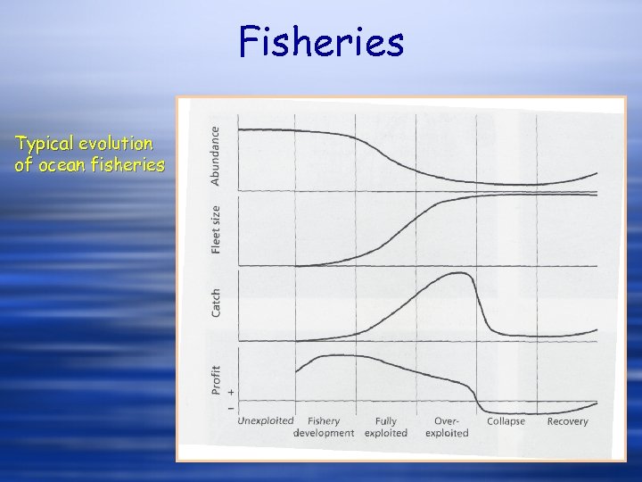 Fisheries Typical evolution of ocean fisheries 