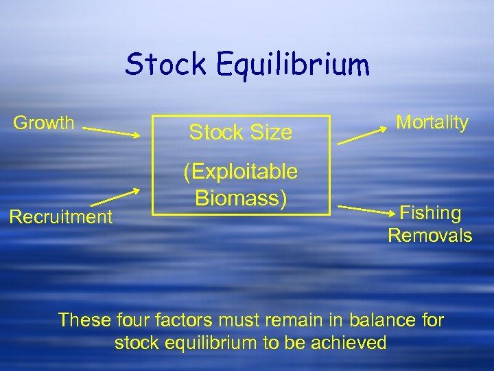 Stock Equilibrium Growth Recruitment Stock Size (Exploitable Biomass) Mortality Fishing Removals These four factors