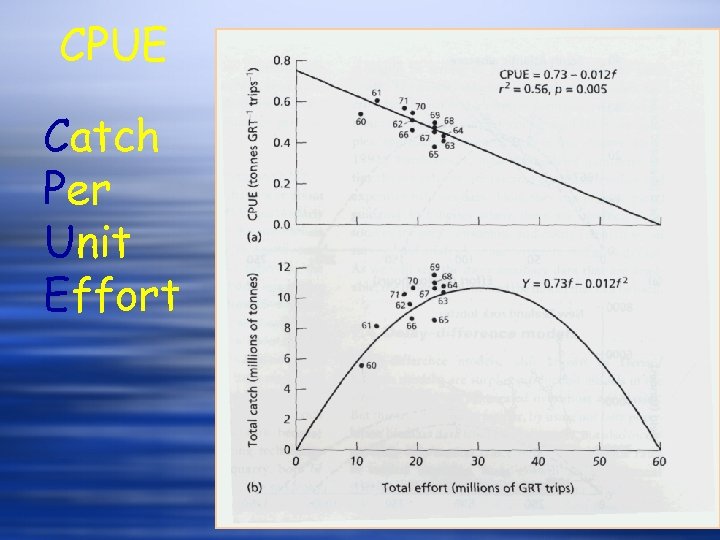 CPUE Catch Per Unit Effort 