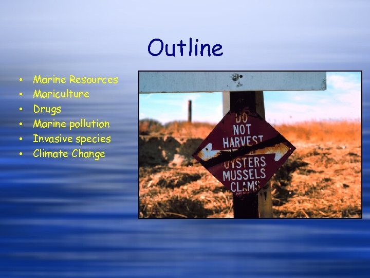 Outline • • • Marine Resources Mariculture Drugs Marine pollution Invasive species Climate Change