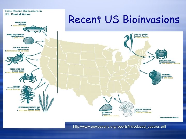 Recent US Bioinvasions http: //www. pewoceans. org/reports/introduced_species. pdf 