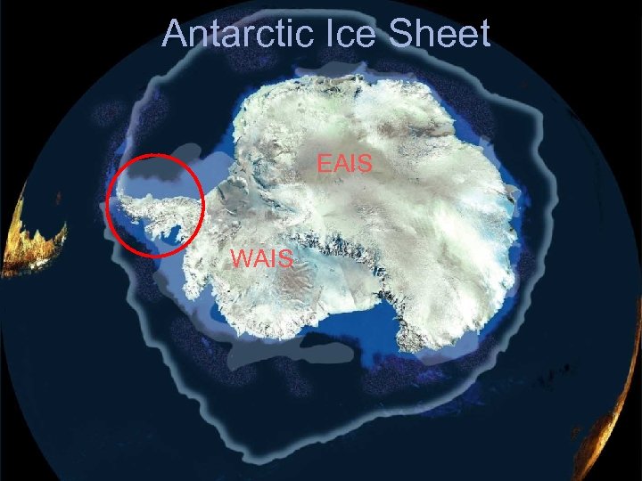 Antarctic Ice Sheet EAIS WAIS 
