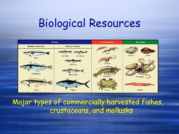 Biological Resources Major types of commercially harvested fishes, crustaceans, and mollusks 