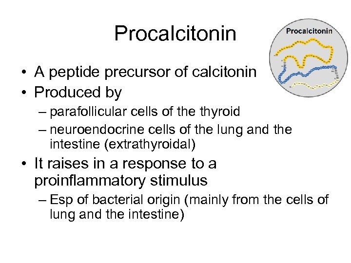 Procalcitonin • A peptide precursor of calcitonin • Produced by – parafollicular cells of