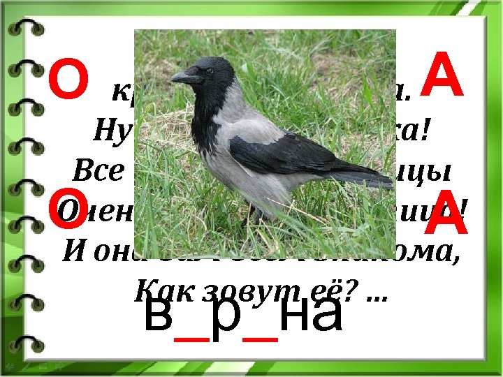 Кар-кар! кричит плутовка. Ну и ловкая воровка! Все блестящие вещицы Очень любит эта птица!