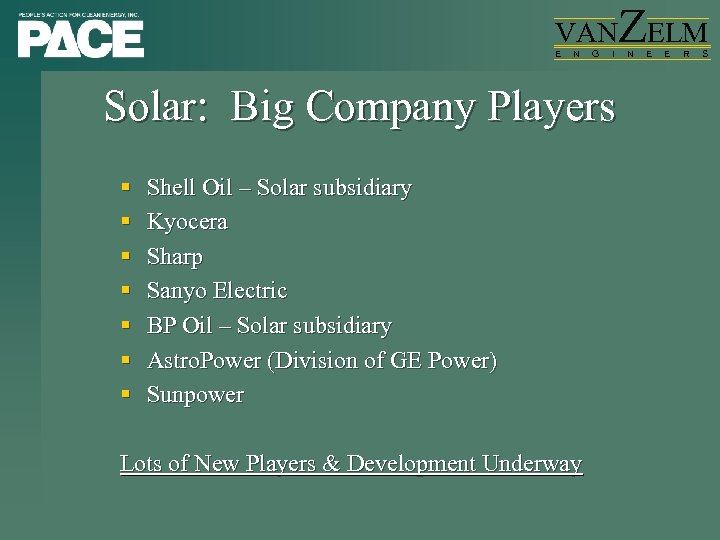 VAN E N G I ZELM Solar: Big Company Players § § § §