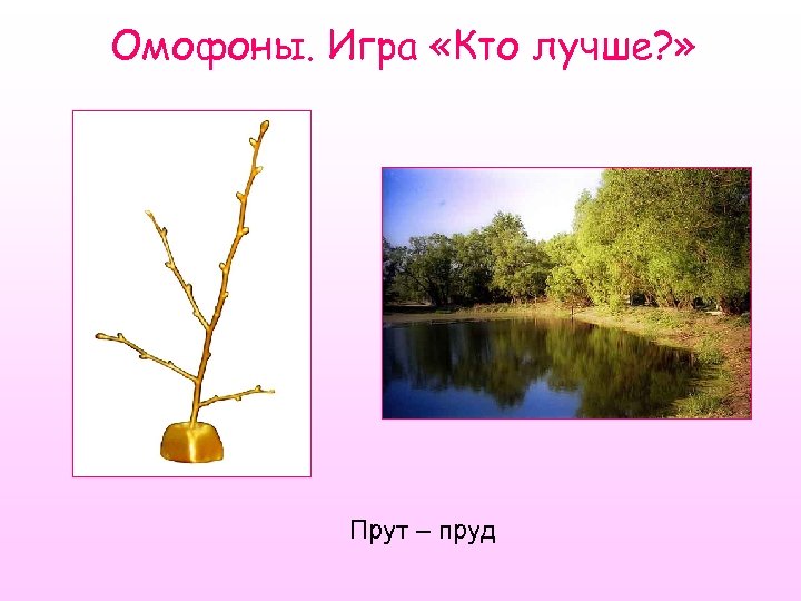 Омофоны. Игра «Кто лучше? » Прут – пруд 