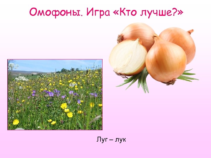Омофоны. Игра «Кто лучше? » Луг – лук 