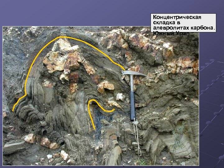 Концентрическая складка в алевролитах карбона. Южный Урал 