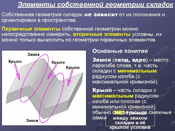 Элементы собственной геометрии складок Собственная геометрия складок не зависит от их положения и ориентировки