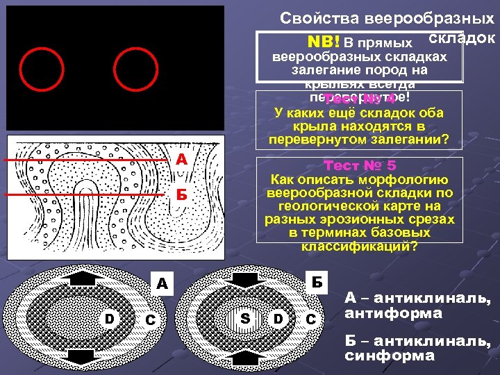 Свойства веерообразных NB! В прямых складок NB веерообразных складках залегание пород на крыльях всегда