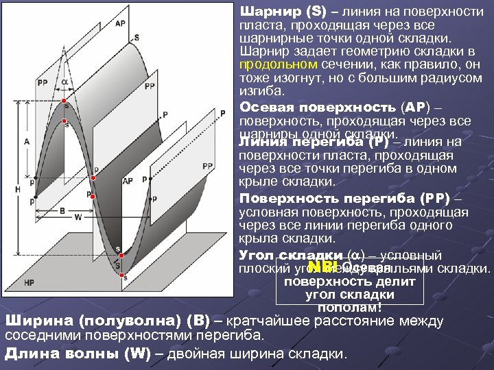 Шарнир (S) – линия на поверхности пласта, проходящая через все шарнирные точки одной складки.