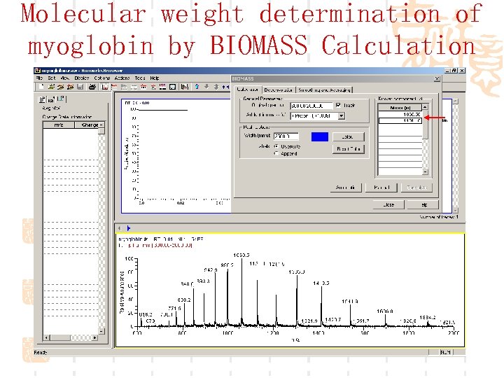Molecular weight determination of myoglobin by BIOMASS Calculation 