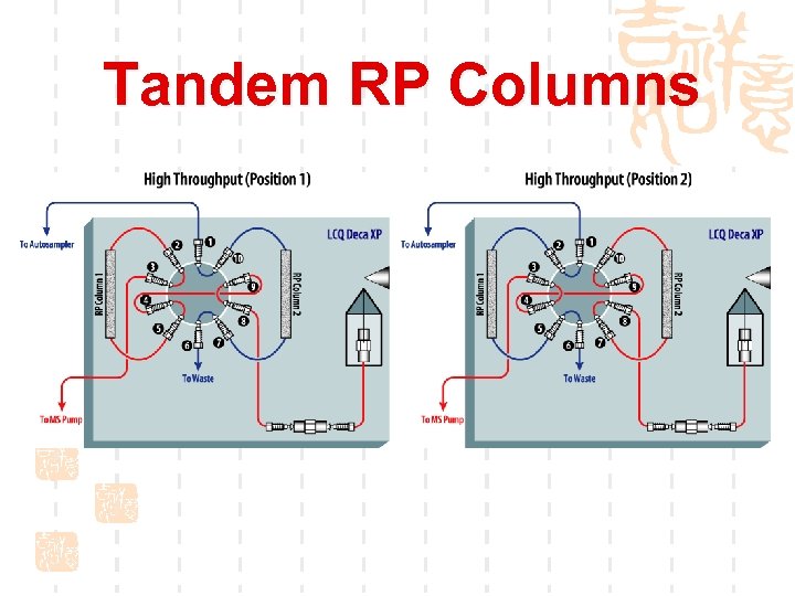 Tandem RP Columns 