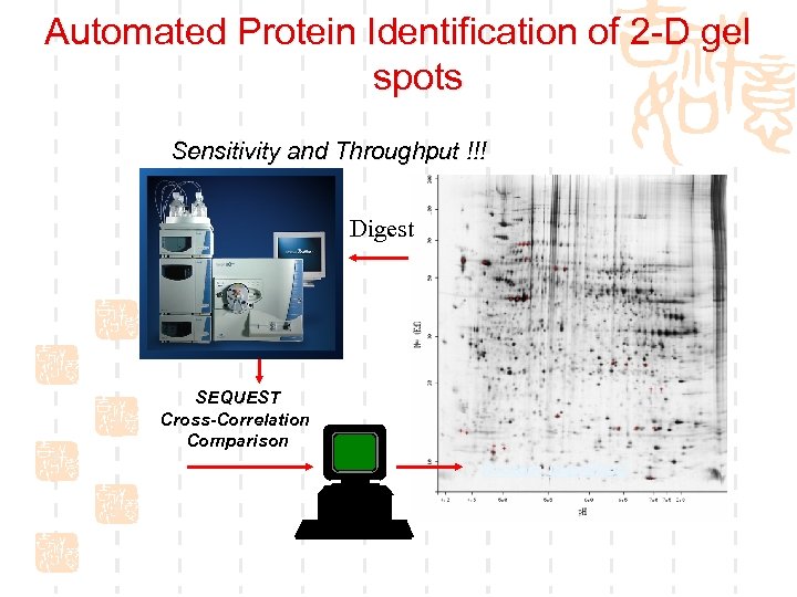 Automated Protein Identification of 2 -D gel spots Sensitivity and Throughput !!! ? Digest