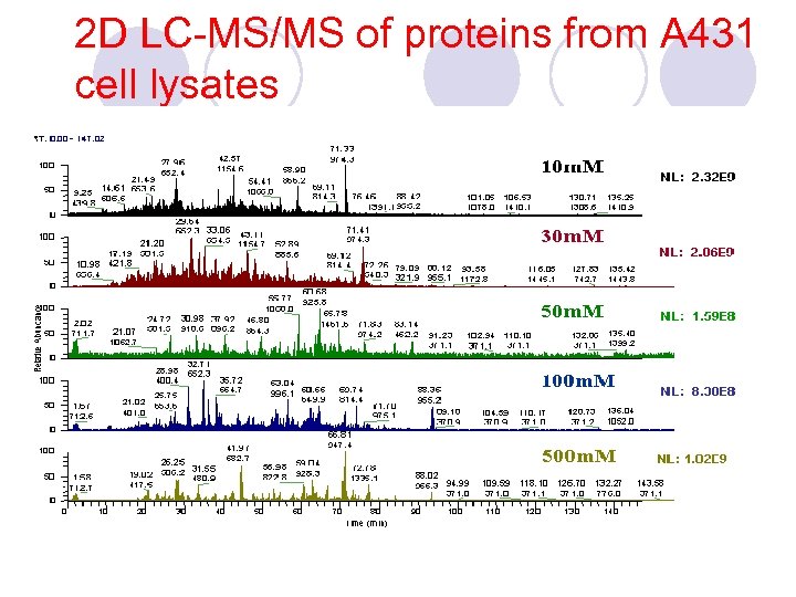 2 D LC-MS/MS of proteins from A 431 cell lysates 