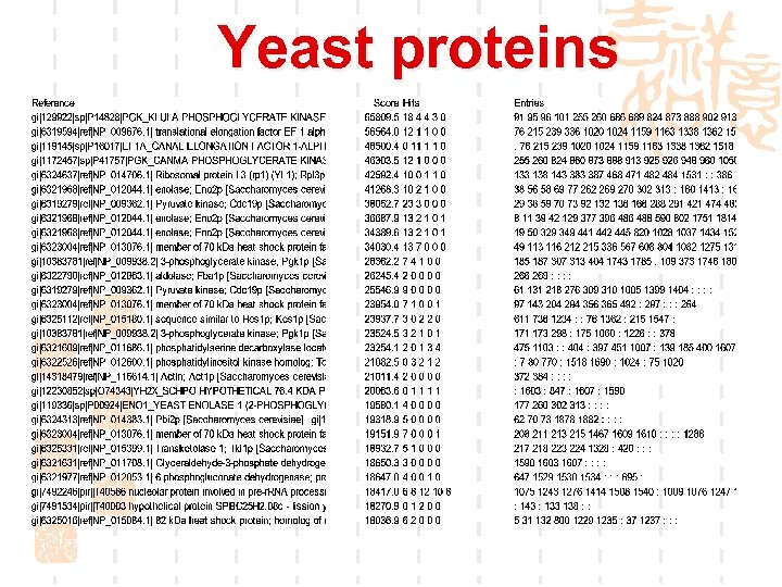 Yeast proteins 