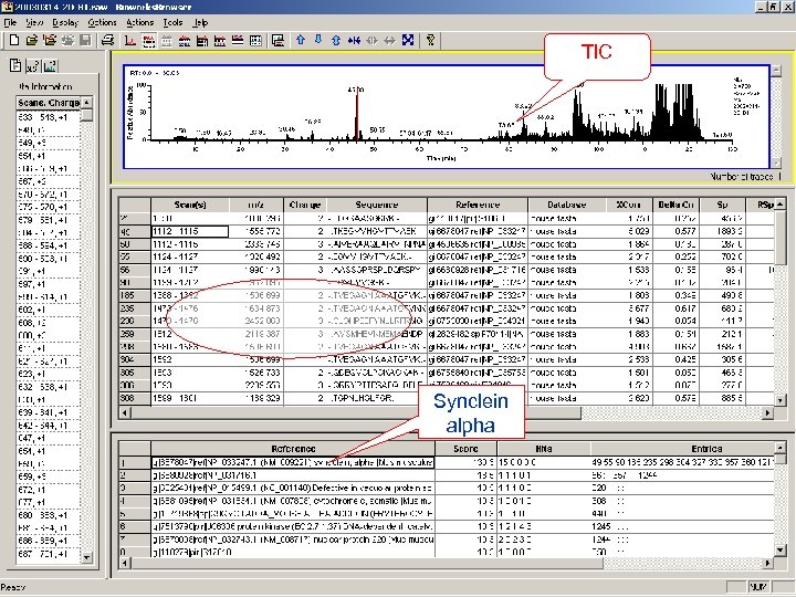 TIC Synclein alpha 