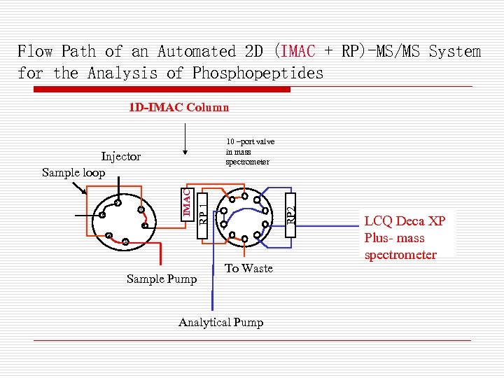 Flow Path of an Automated 2 D (IMAC + RP)-MS/MS System for the Analysis