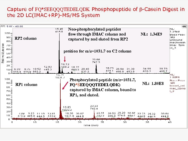 Capture of FQ*SEEQQQTEDELQDK Phosphopeptide of -Casein Digest in the 2 D LC(IMAC+RP)-MS/MS System RP
