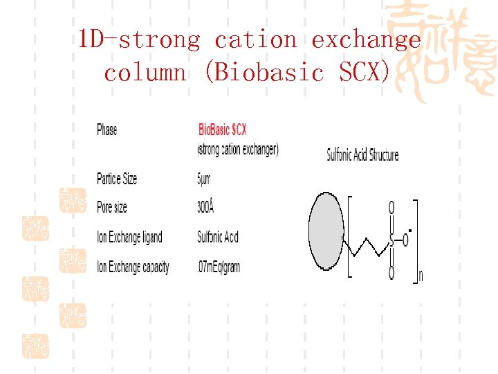 1 D-strong cation exchange column (Biobasic SCX) 