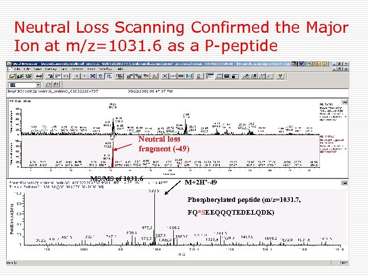 Neutral Loss Scanning Confirmed the Major Ion at m/z=1031. 6 as a P-peptide Neutral