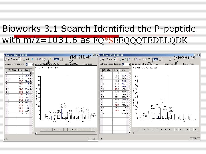 Bioworks 3. 1 Search Identified the P-peptide with m/z=1031. 6 as FQ*SEEQQQTEDELQDK 1+ (M+2