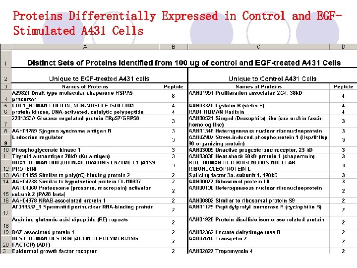 Proteins Differentially Expressed in Control and EGFStimulated A 431 Cells 