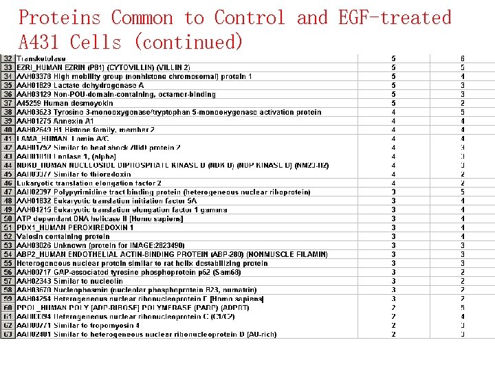 Proteins Common to Control and EGF-treated A 431 Cells (continued) 