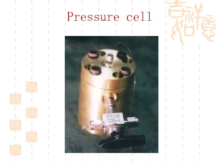 Pressure cell 