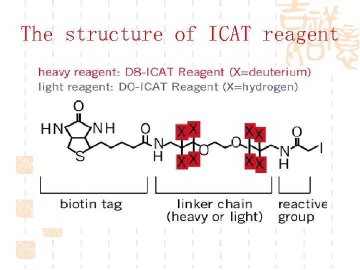 The structure of ICAT reagent 