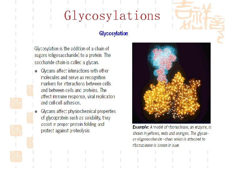 Glycosylations 
