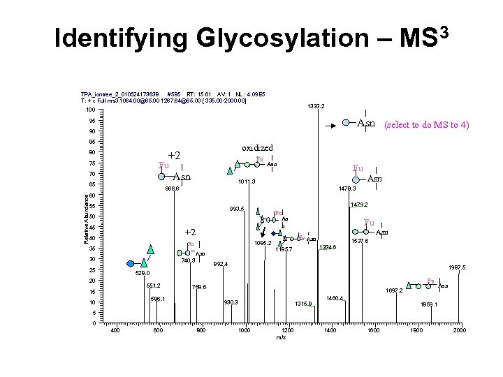 Identifying Glycosylation – MS 3 TPA_iontree_2_010524173638 #585 RT: 15. 61 AV: 1 NL: 4.