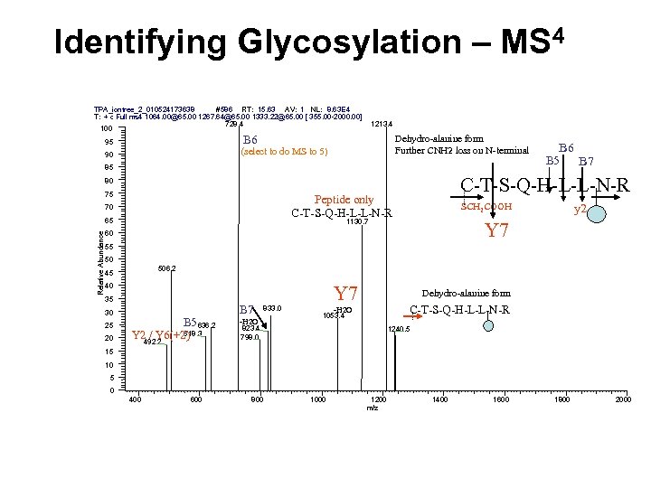 Identifying Glycosylation – MS 4 # 586 RT: 15. 63 AV: 1 NL: 8.