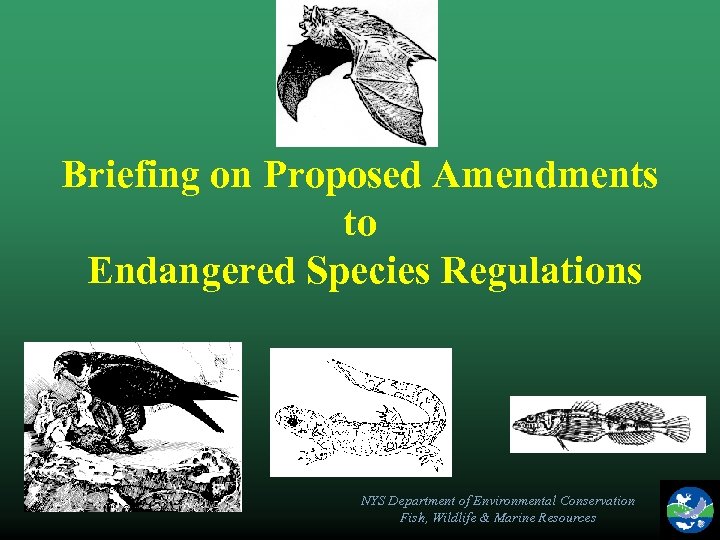 Briefing on Proposed Amendments to Endangered Species Regulations NYS Department of Environmental Conservation Fish,