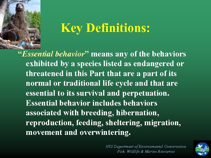 Key Definitions: “Essential behavior” means any of the behaviors exhibited by a species listed