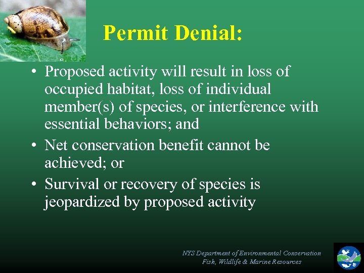 Permit Denial: • Proposed activity will result in loss of occupied habitat, loss of